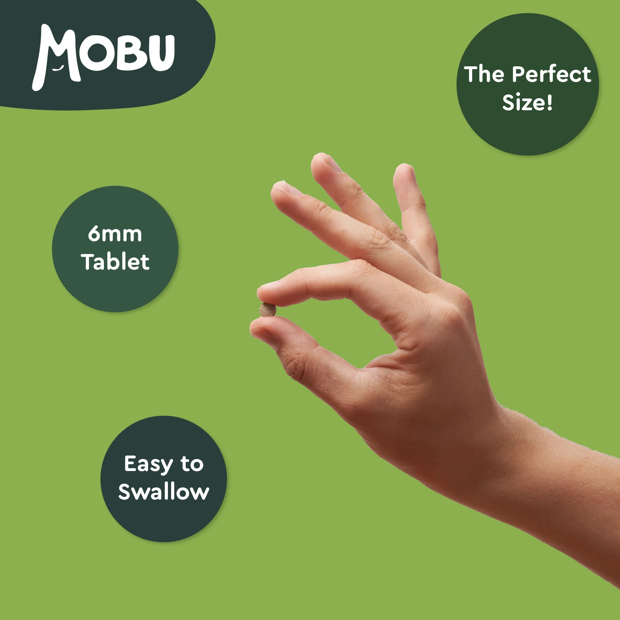 Ashwagandha 1000mg - Image 4