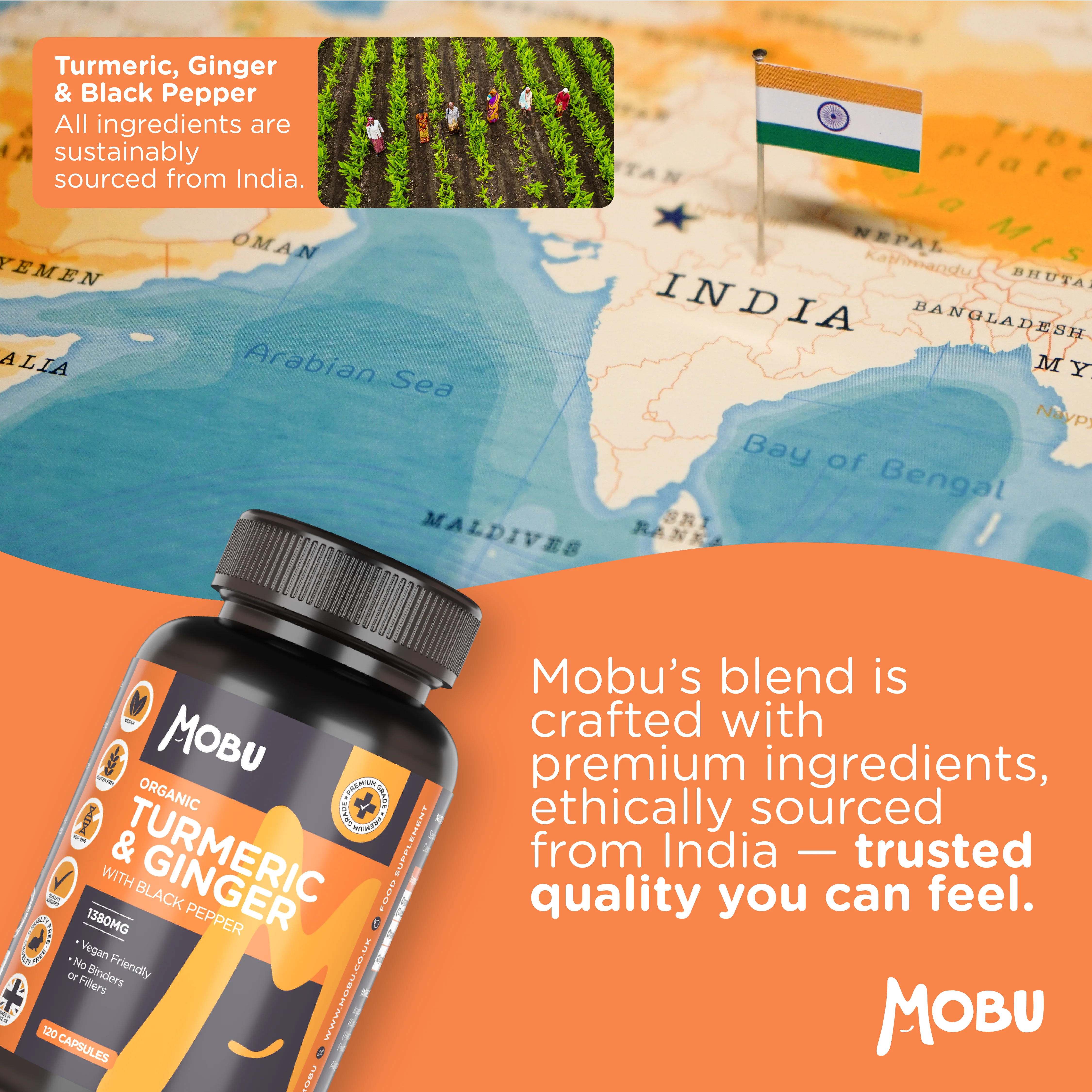 Clean Organic Turmeric, Ginger & Black Pepper - Image 7